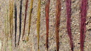 Dyed fibres