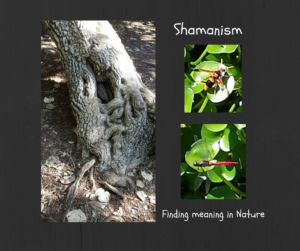 Shamanism finding meaning in nature